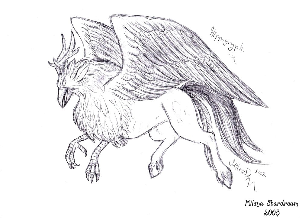 Pencil drawing of a hippogryph from World of Warcraft