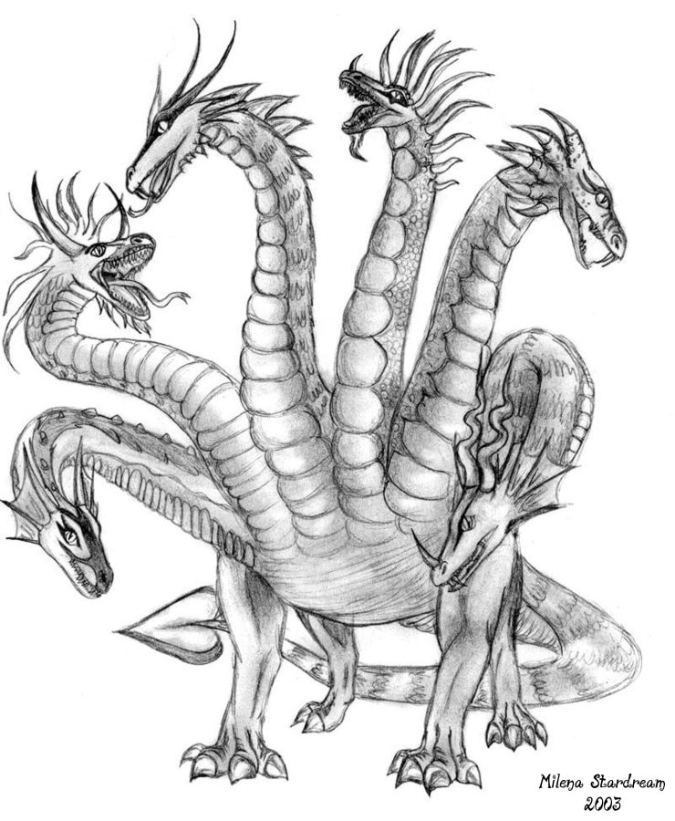 Pencil drawing of a hydra